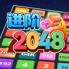 进阶2048-苏执云盒